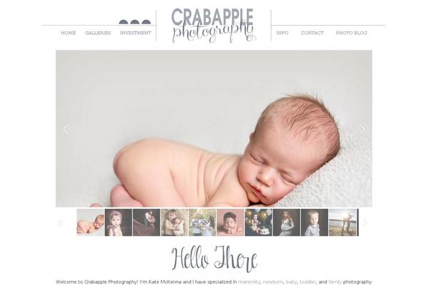 ProPhoto 6 theme site design template sample