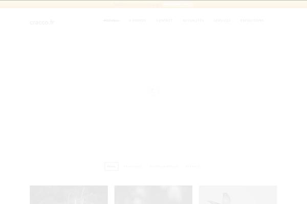 Site using WPFront Notification Bar plugin
