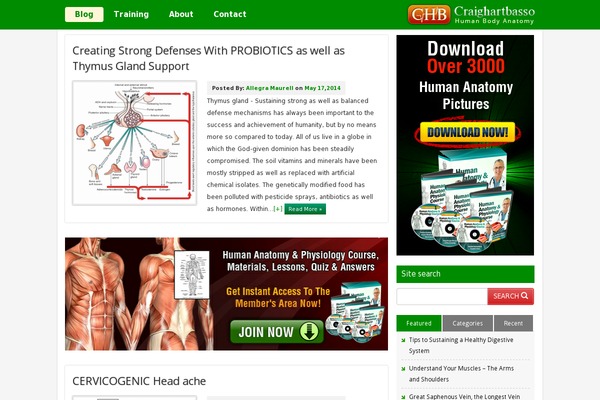 Chb theme site design template sample