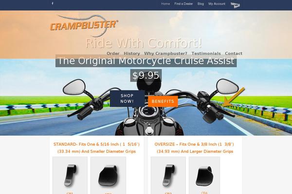 Salient theme site design template sample
