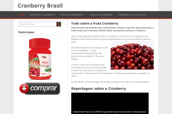 Playbook theme site design template sample