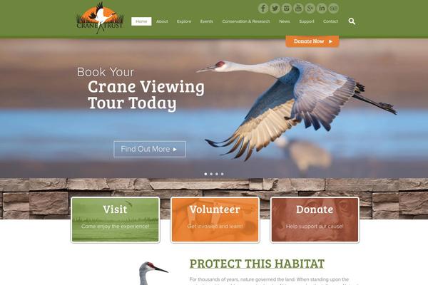 Crane theme site design template sample
