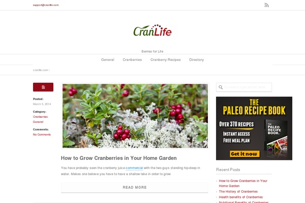 Frisco website example screenshot
