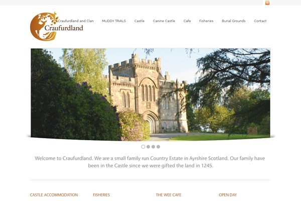 Dreamy theme site design template sample