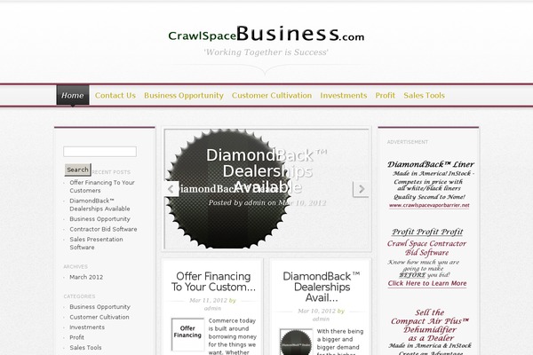 Magnificent theme site design template sample