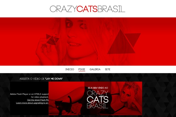 crazycatsbr.com site used Sashabr