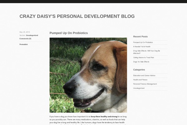 crazydaisy.us site used Theophilus-wordpress-theme-master
