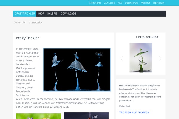 Hamburg theme site design template sample