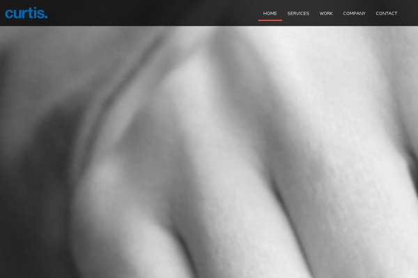 createwithcurtis.com site used Curtis