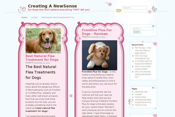 Cute Frames theme site design template sample