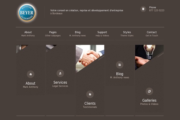 Themis theme websites examples