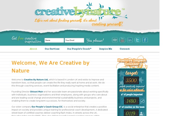 Site using Any User Twitter Feed plugin