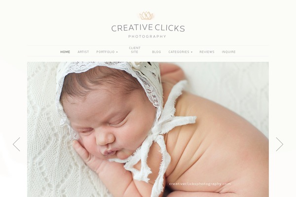 Organic_photographer theme site design template sample
