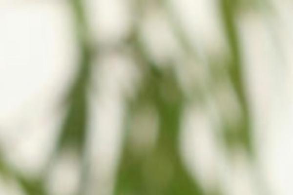 Site using BlogWell's Simple Image Link Widget plugin