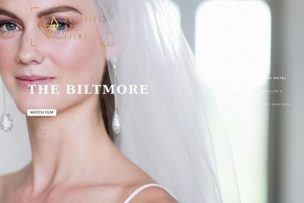 Brailie theme site design template sample