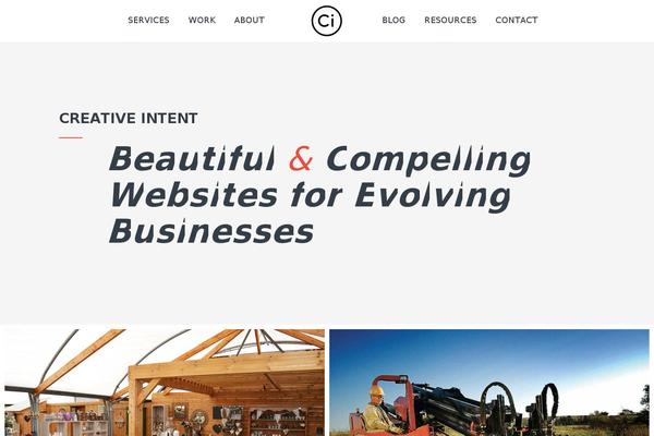 ci theme websites examples