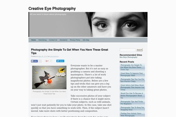 Silver Spot theme site design template sample