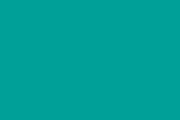 Site using Neko-grid plugin