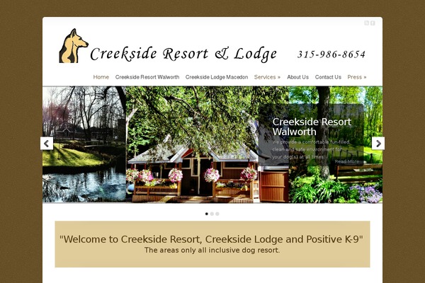 Chameleon theme site design template sample