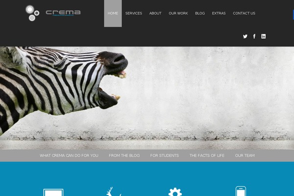 Infographer theme site design template sample