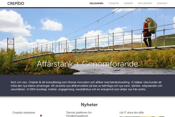 the-writer-child theme websites examples