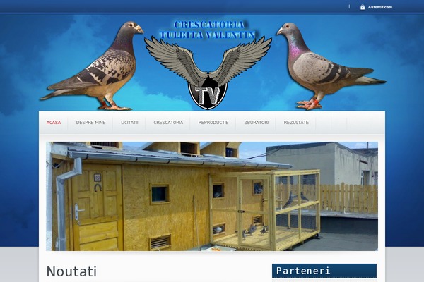 Candidate theme site design template sample