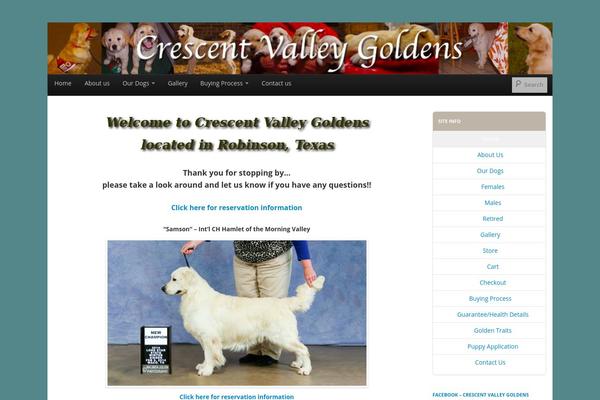 Boot Store theme site design template sample