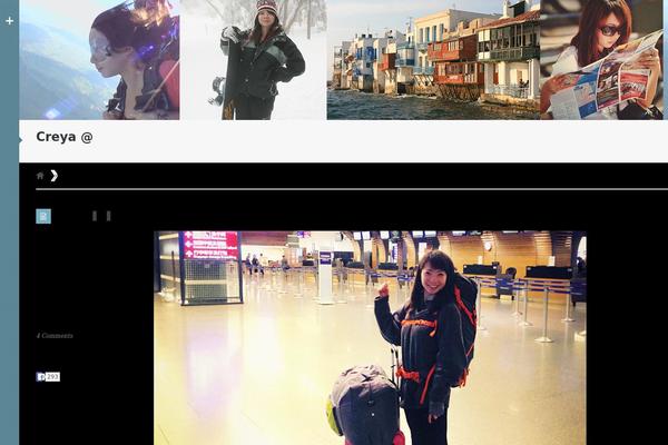 Silesia theme site design template sample