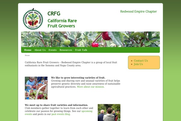 Aspen theme site design template sample