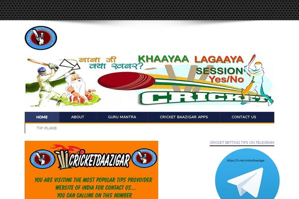 jarida1.3.2 theme websites examples