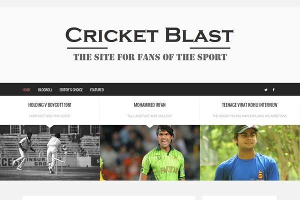 Brixton theme site design template sample