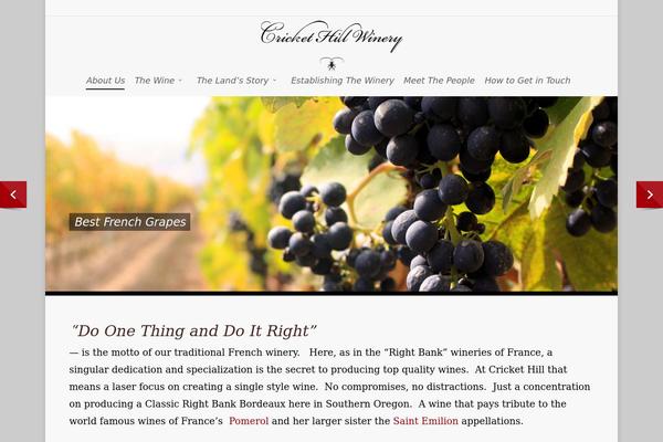 Salient theme site design template sample