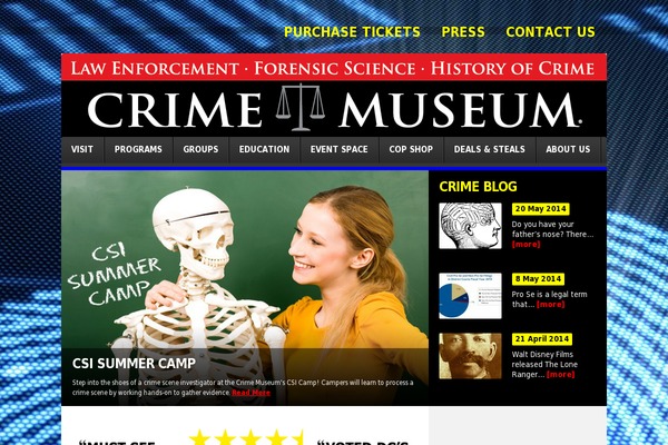 theme1965 theme websites examples