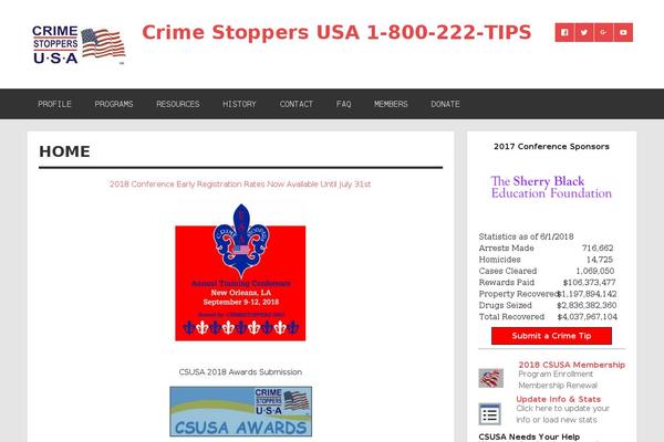 Dynamic News Lite theme site design template sample