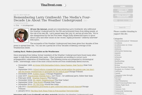 Minn Lite theme site design template sample