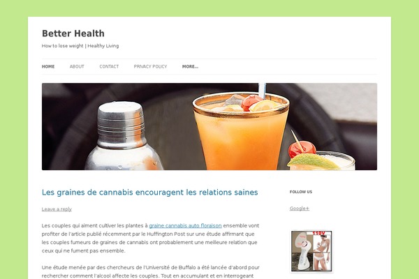 Journalistblogily theme site design template sample