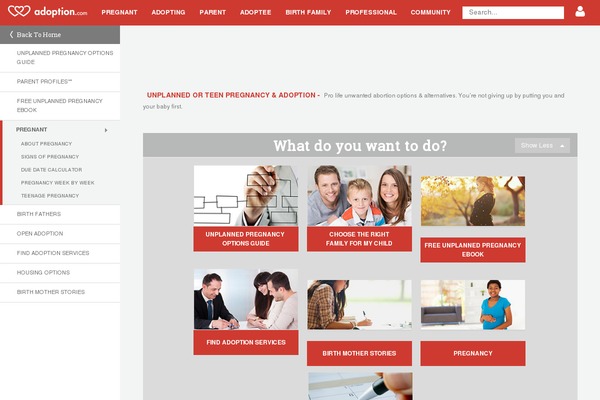 crisispregnancy.com site used Adoptionnew