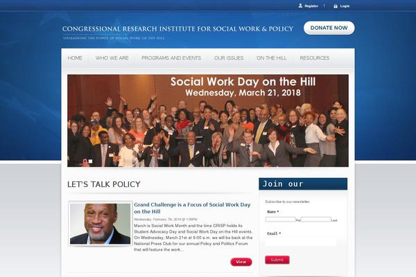 Candidate theme site design template sample