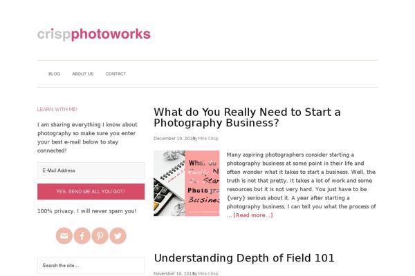 Site using Simple Social Icons plugin