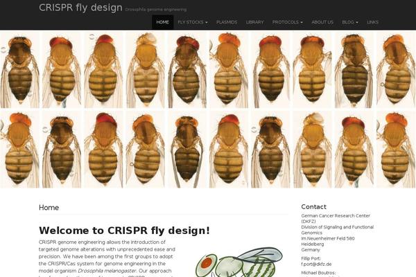 National Basic theme site design template sample