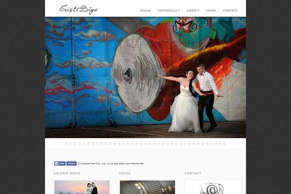 Dandelion theme site design template sample