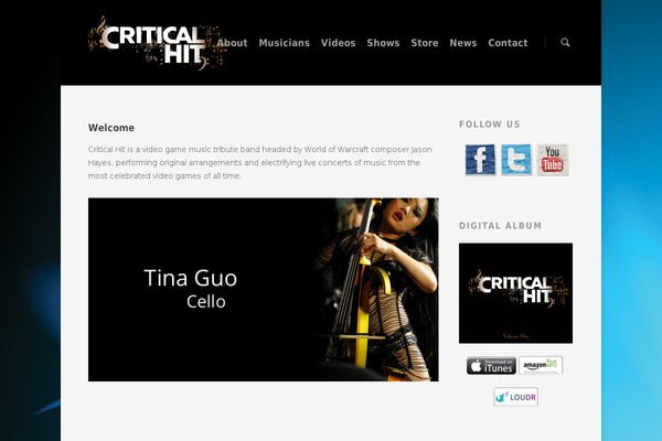 Salient theme site design template sample