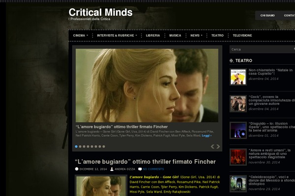 Videozone theme site design template sample