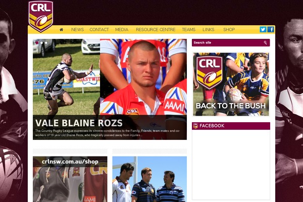 Resportsive theme site design template sample
