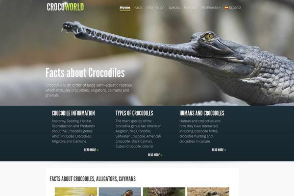 Divi theme site design template sample