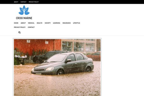 Site using Simple Share Buttons Adder plugin
