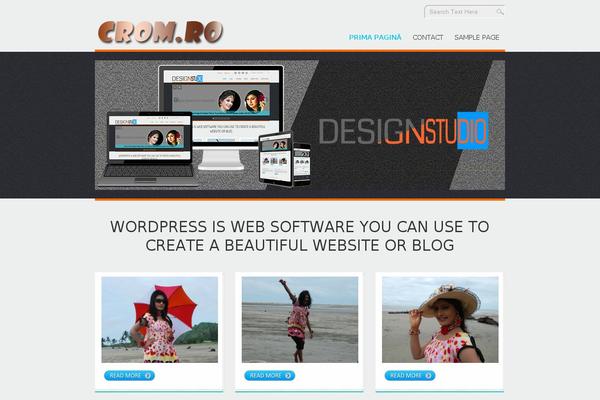 D5 Design theme site design template sample