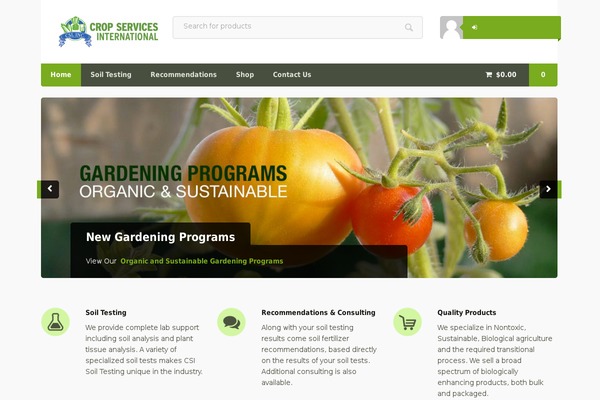 Superstore theme site design template sample