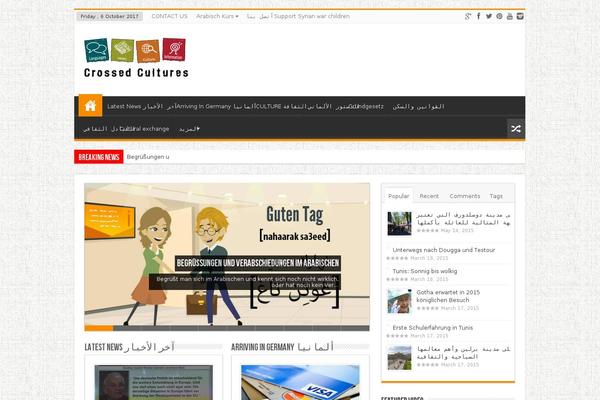 Sahifa theme site design template sample