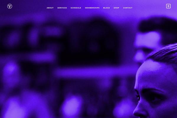 TopFit theme site design template sample